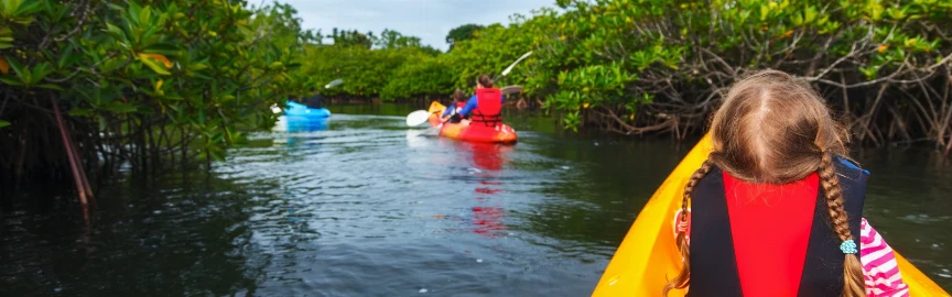 Sunset Kayaking in Doha’s Mangroves